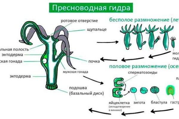 Сайты наркоты