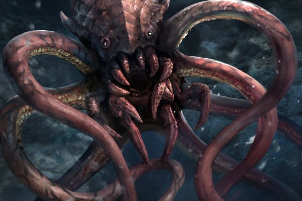 Kraken 23 at